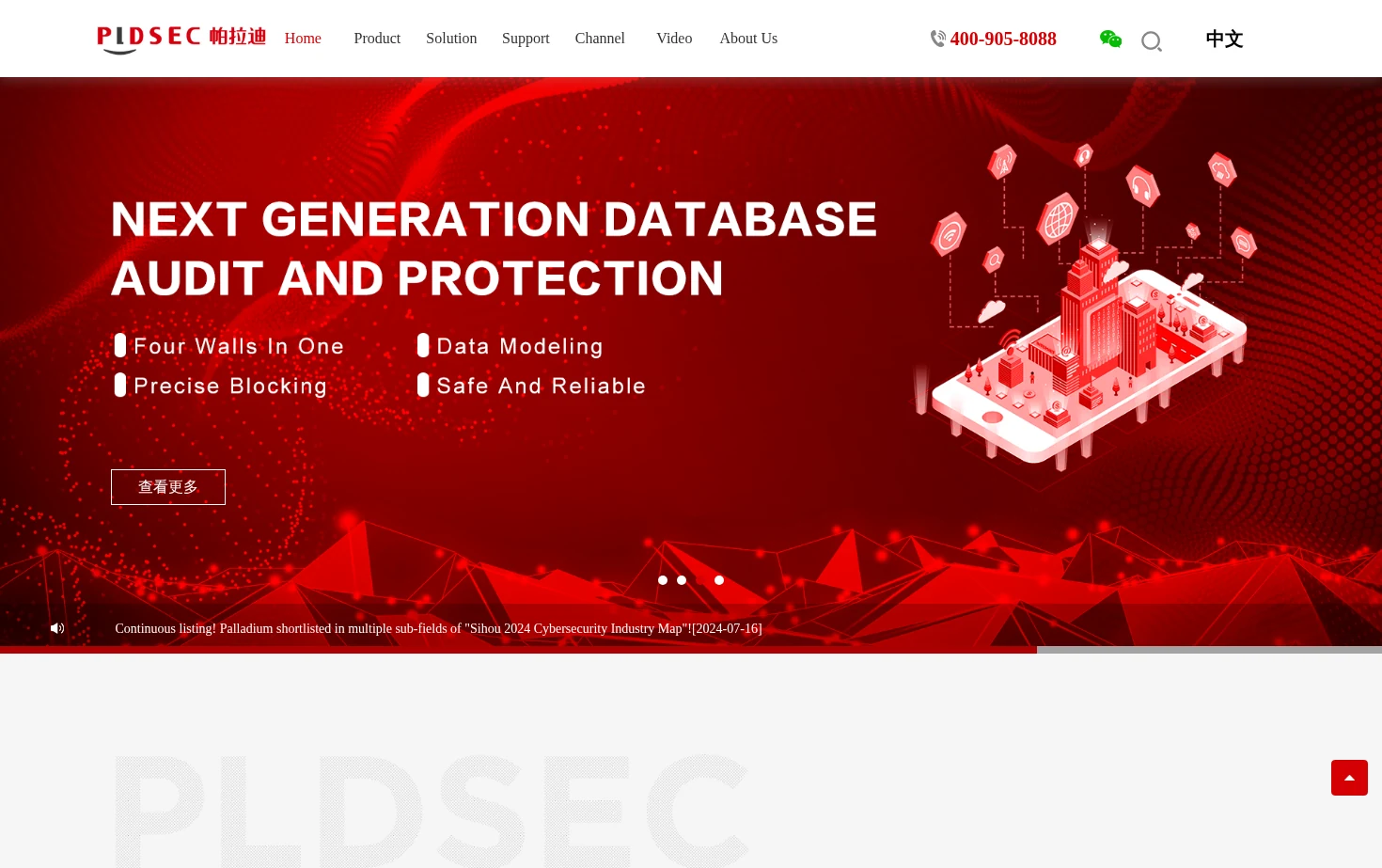 Hangzhou Palladium Network Technology Co., Ltd. 页面快照